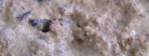 хлебный пудинг с черносливом и изюмом. Шаг 5