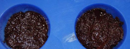 конфеты с абрикосом и розмарином. Шаг 2