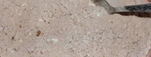 пироженое с заварным кремом. Шаг 4