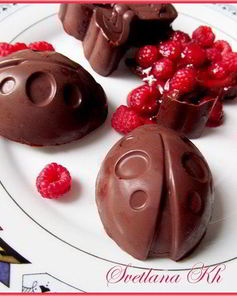 Малиновое желе в шоколаде