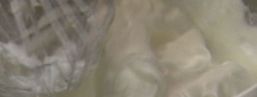 хлебное мороженое семифреддо по-русски. Шаг 4