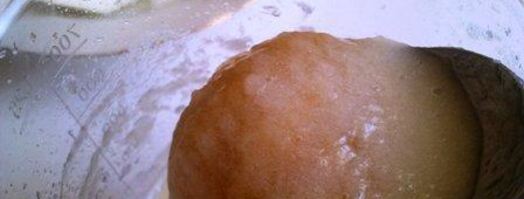 мороженое из дыни с медом. Шаг 4