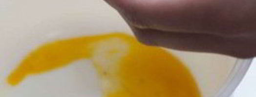 мороженое из персиков. Шаг 3