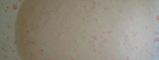 пряное тыквенное мороженое. Шаг 3