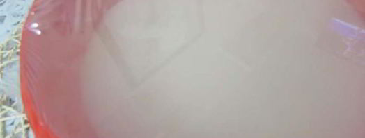 торт-мороженое арбуз. Шаг 6