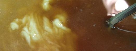 мусс из белого шоколада с персиками. Шаг 4