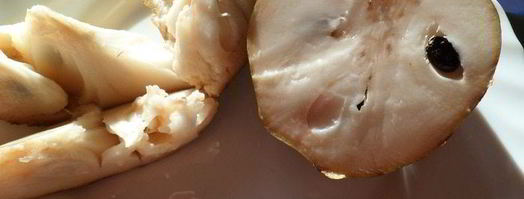 мусс-желе из хурмы, черимойи и амареттини под крем-фрешем. Шаг 7