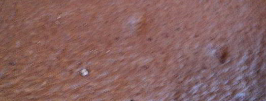 шоколадный рулет с черничным муссом. Шаг 5