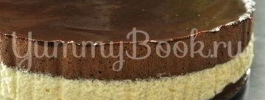 торт-мусс сливочно-шоколадный. Шаг 18