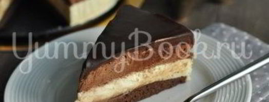 торт-мусс сливочно-шоколадный. Шаг 19