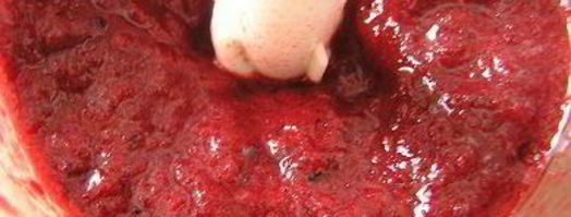 нежный ягодный десерт. Шаг 5