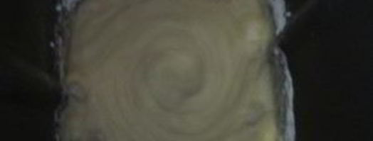 кулич в хлебопечке. Шаг 3