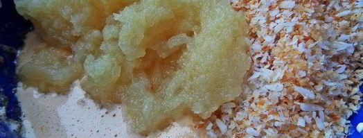 ананасовое суфле с кокосом. Шаг 7