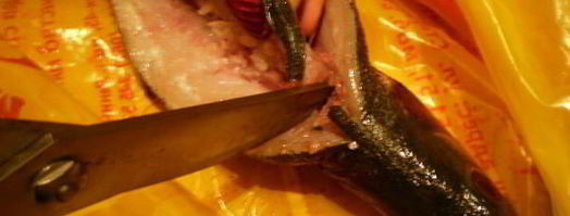 сибас с творожно-сырным суфле и семгой. Шаг 2