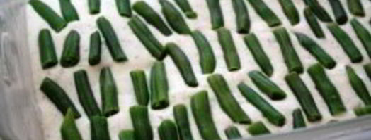 творожное суфле с зеленой фасолью. Шаг 7