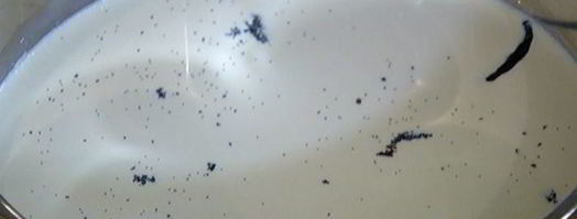 венецианский рисовый пудинг. Шаг 3