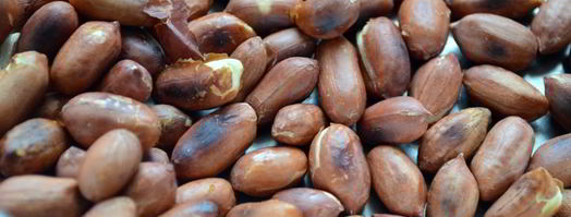 яблочно-шоколадная паста. Шаг 3