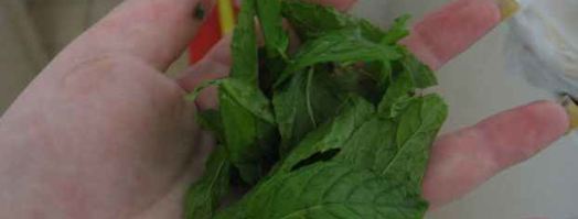 эгроль с персиками и шоколадным соусом. Шаг 5