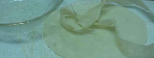 эгроль с персиками и шоколадным соусом. Шаг 13