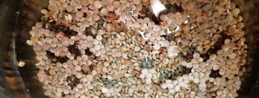 чечевица с лисичками и жареным адыгейским сыром. Шаг 2