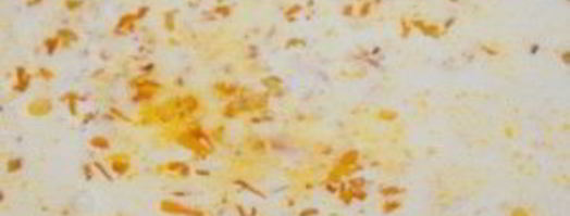 картофель в соусе альфредо. Шаг 7