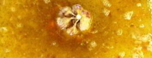 рис с морковью и луком. Шаг 4