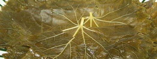 долма из молодых виноградных листьев с начинкой из смешанного фарша. Шаг 3