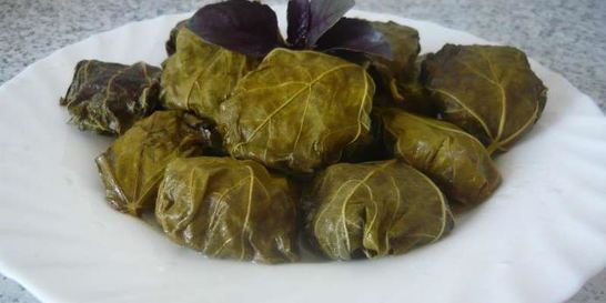 Долма из свежих виноградных листьев