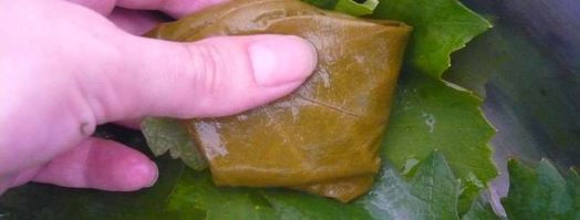 долма из свежих виноградных листьев. Шаг 11