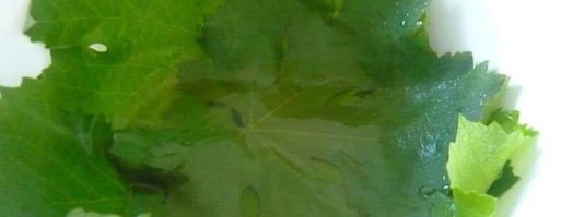 долма из свежих виноградных листьев. Шаг 3