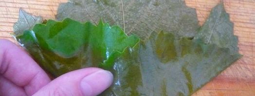 долма из свежих виноградных листьев. Шаг 9