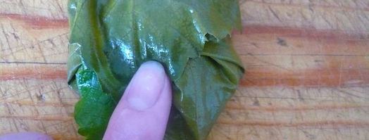 долма из свежих виноградных листьев. Шаг 10