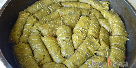 Долма из виноградных листьев