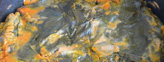 долма из виноградных листьев. Шаг 20