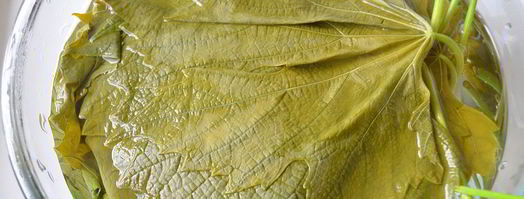 долма из виноградных листьев. Шаг 7