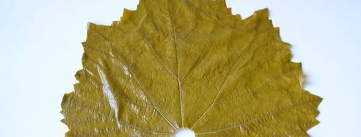 долма из виноградных листьев. Шаг 8