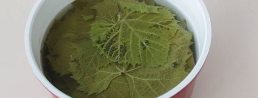 долма по-грузински. Шаг 3