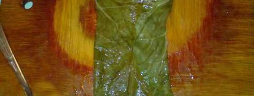 долма по-прикамски. Шаг 18