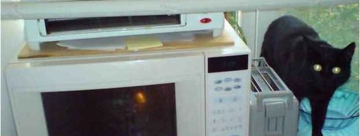 долма по-прикамски. Шаг 24