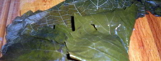 долма с бараниной под сметанно-чесночным соусом. Шаг 6