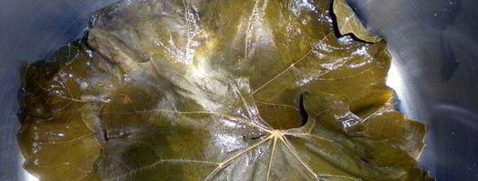 долма с бараниной под сметанно-чесночным соусом. Шаг 7