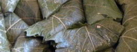 долма с рисом. Шаг 8