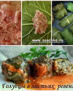 Голубцы в листьях ревеня