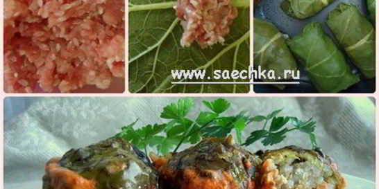 Голубцы в листьях ревеня