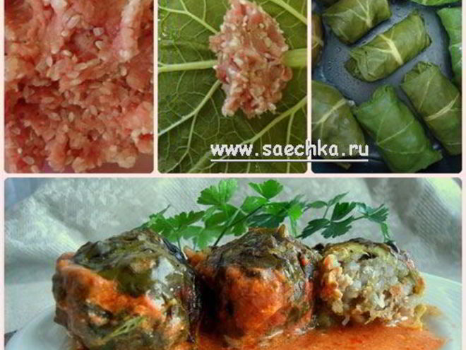 Рецепт голубцов в листьях ревеня