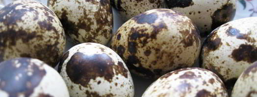 голубцы всевидящее око. Шаг 3