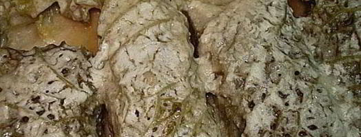 мини-голубцы из савойской капусты. Шаг 5