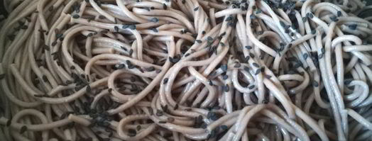 гречневая лапша со свежим огурцом. Шаг 2