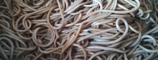 гречневая лапша со свежим огурцом. Шаг 3