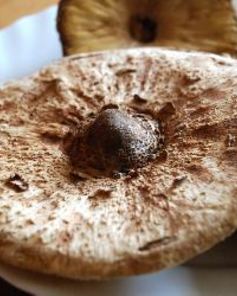 Гриб-зонтик жареный